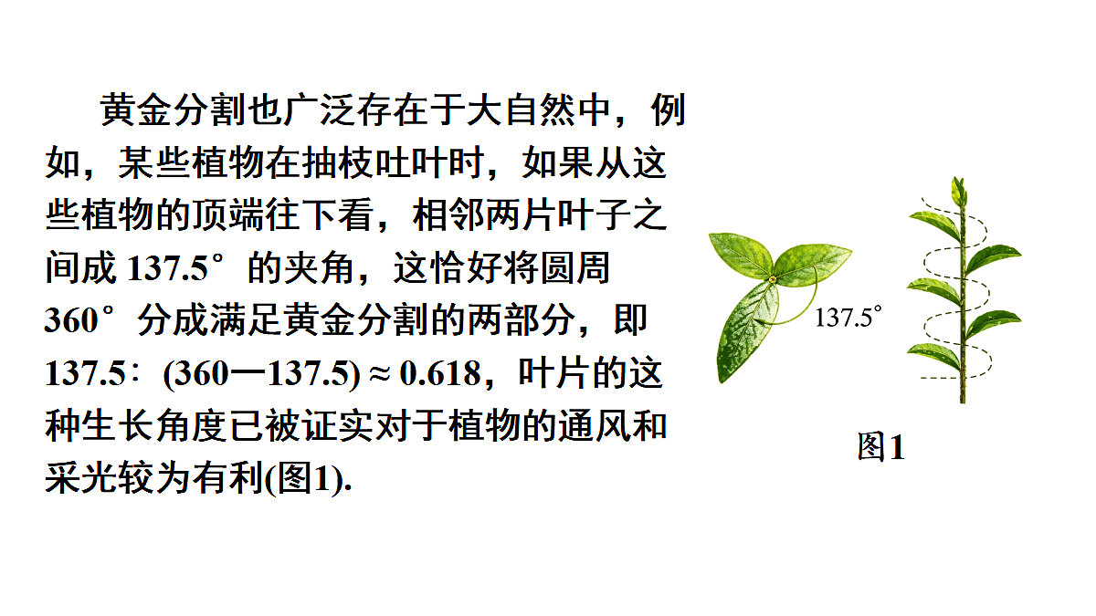 18559531第6页