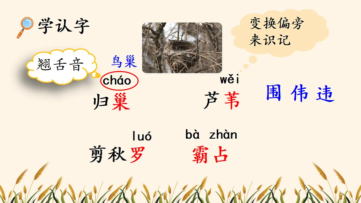 18560434第5页