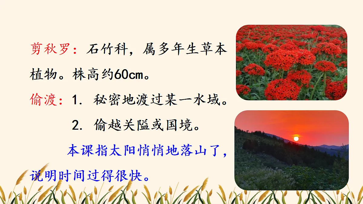 18560434第7页