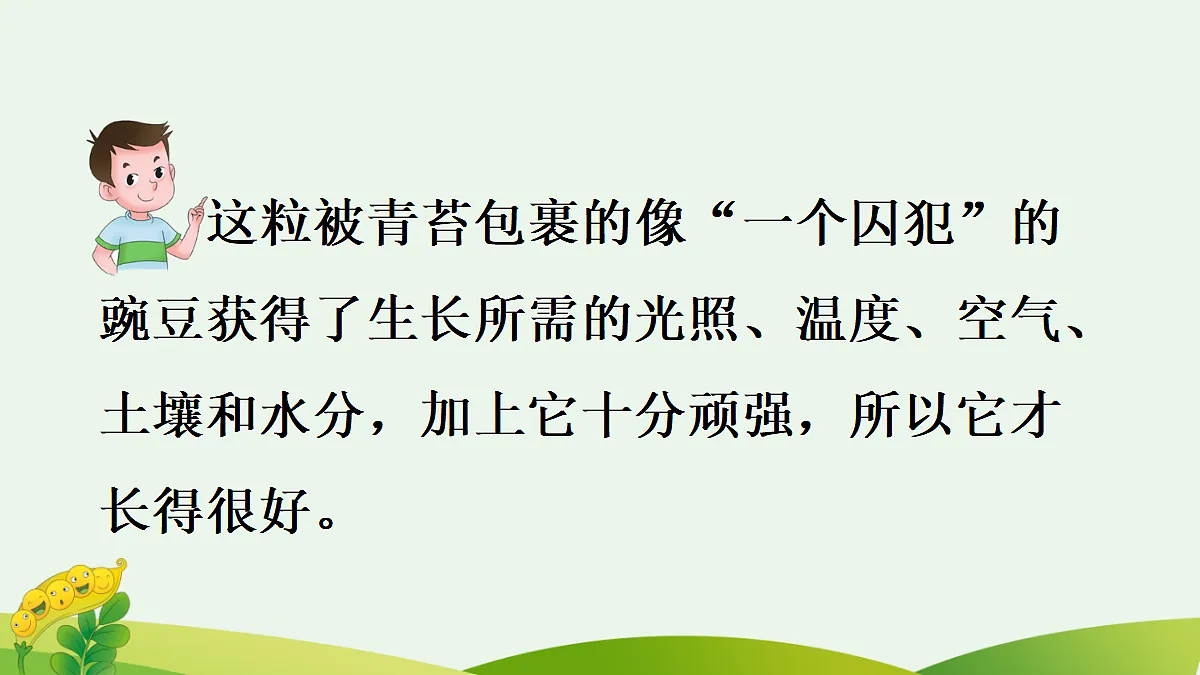 18560443第7页