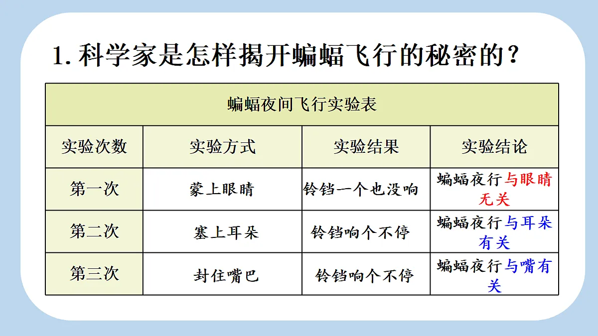 18560451第3页