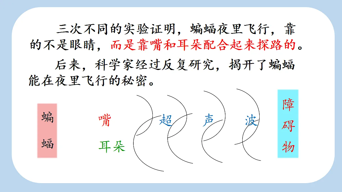 18560451第4页