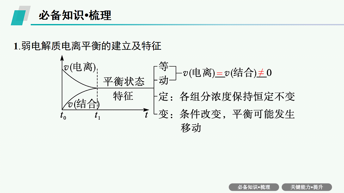 18560561第5页