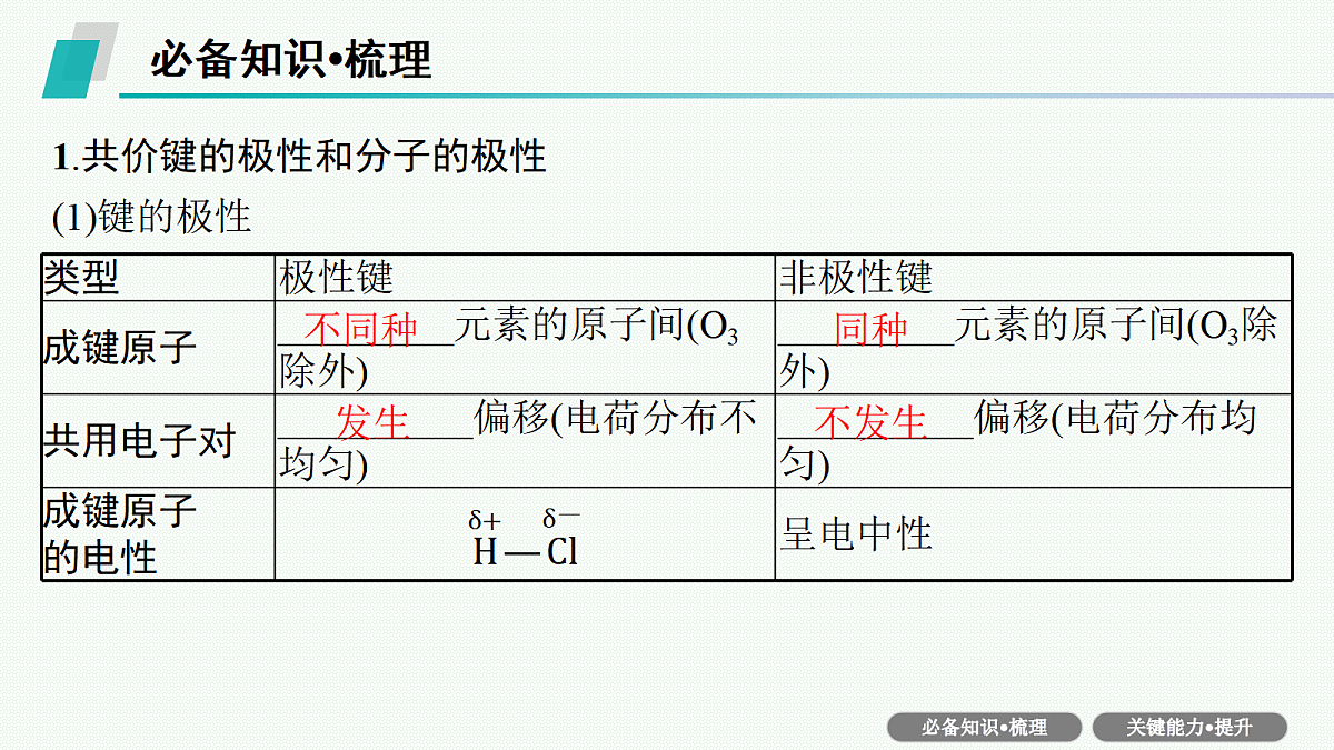 18560599第5页