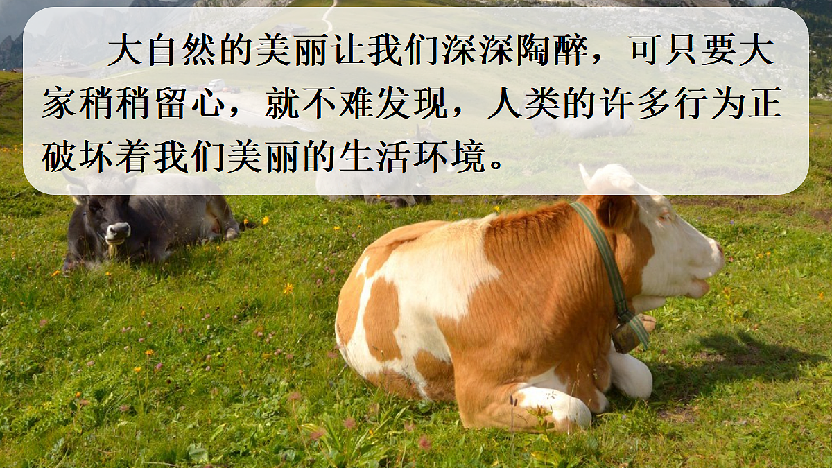18561164第2页