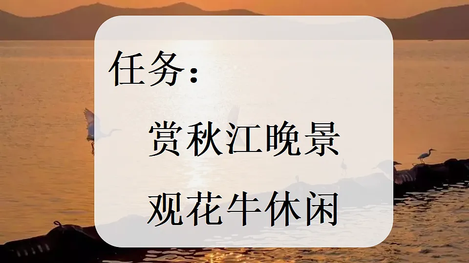 18561267第2页