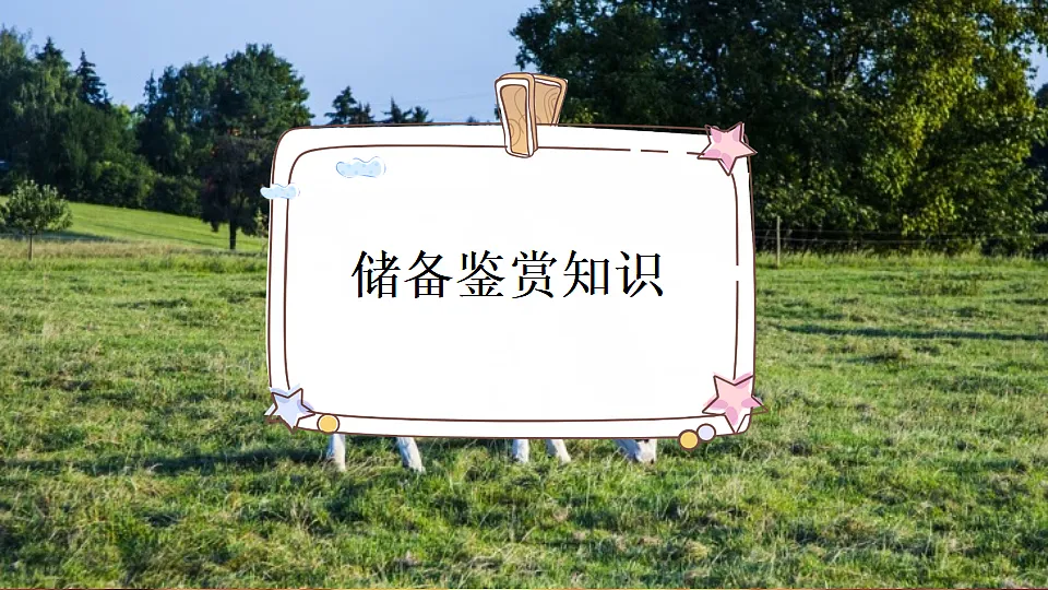 18561267第3页