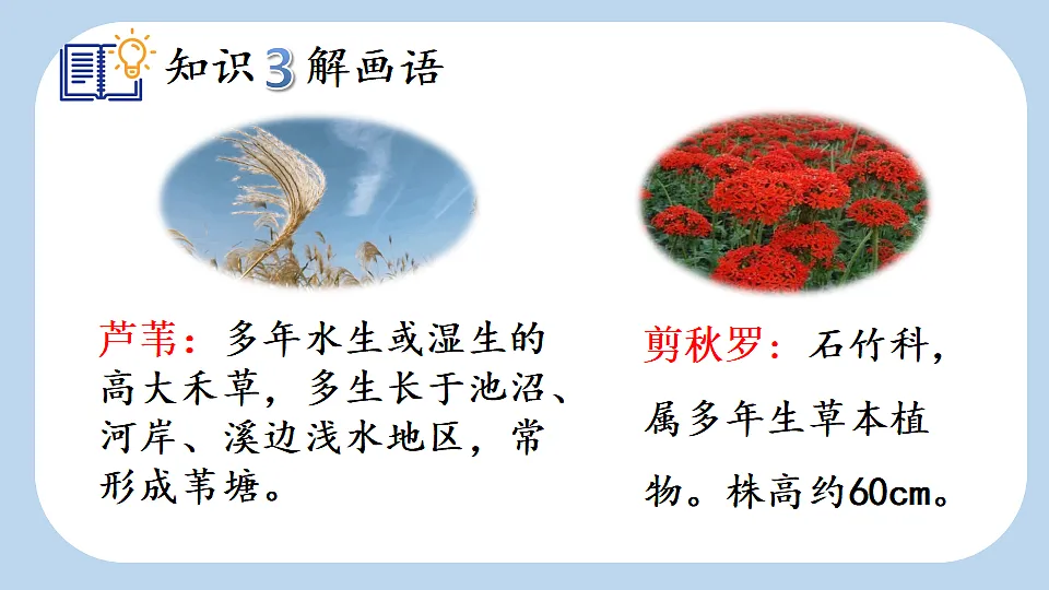 18561267第6页