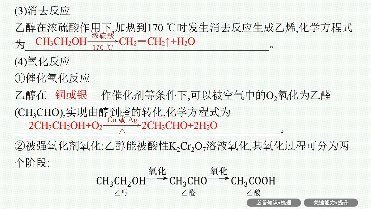 18561409第8页