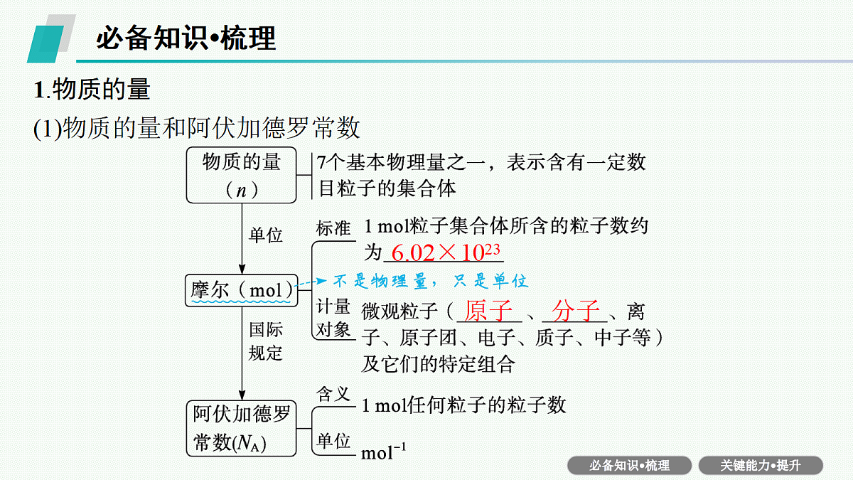 18561423第5页