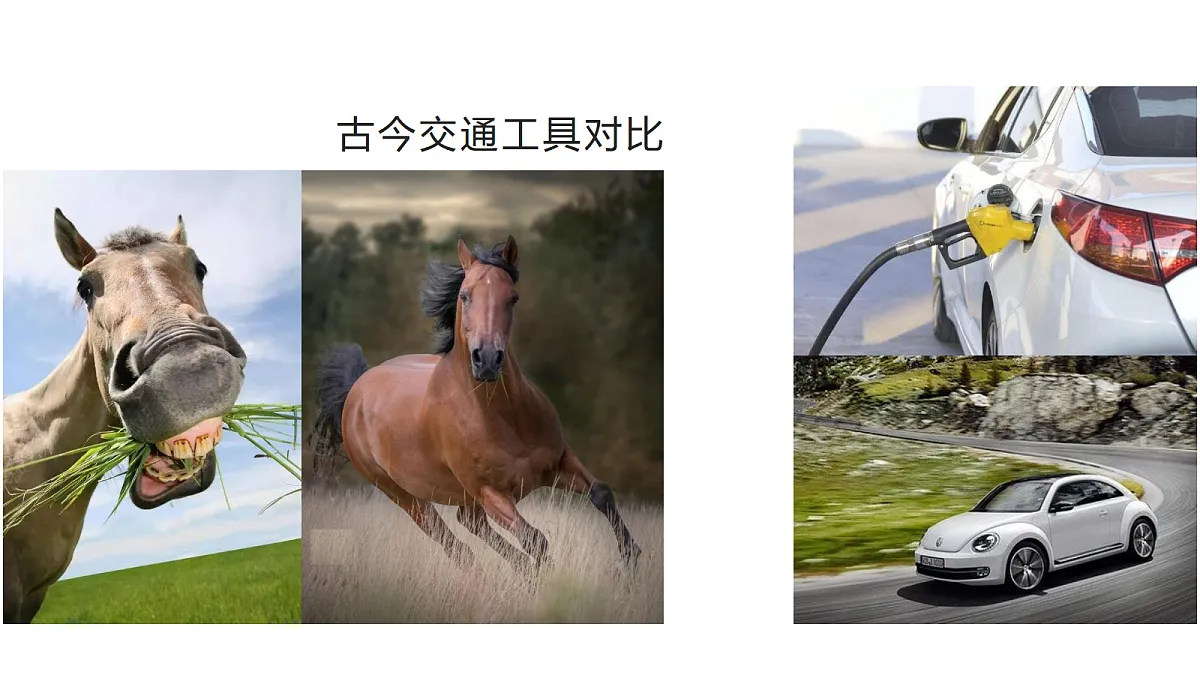 18562590第2页