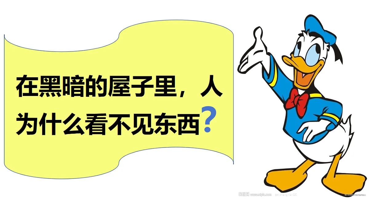 18562804第3页
