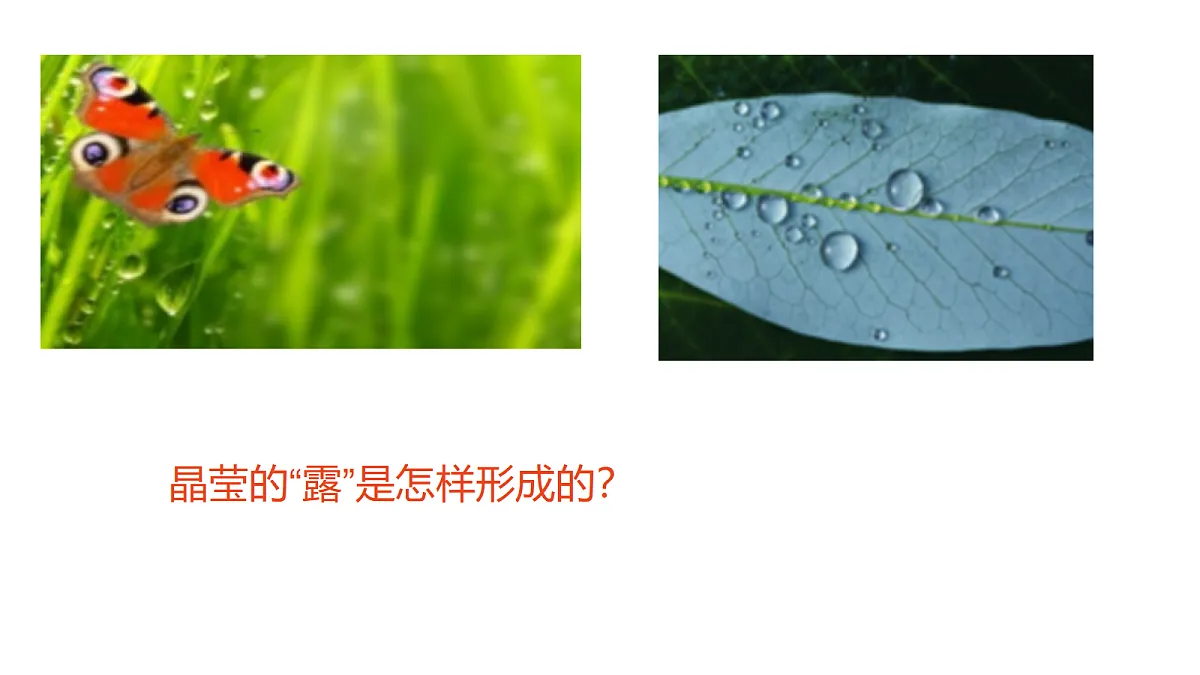 18562805第4页