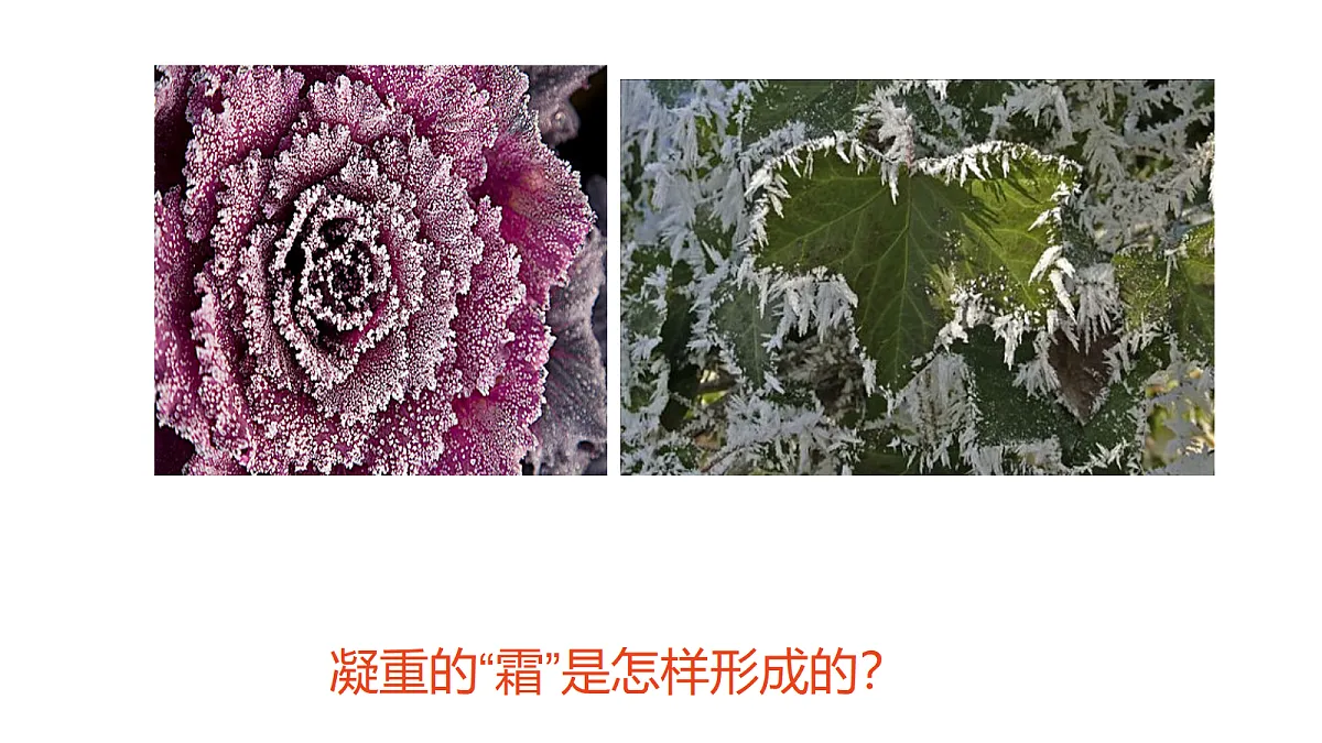 18562805第6页