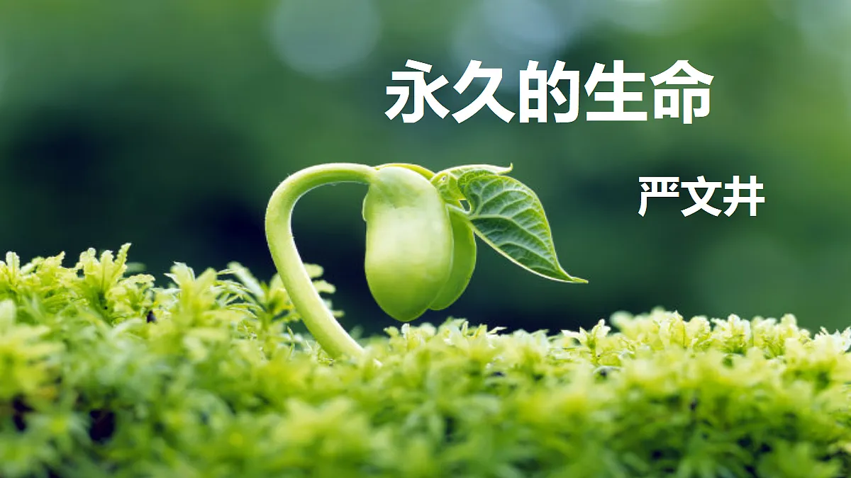 18563423第2页