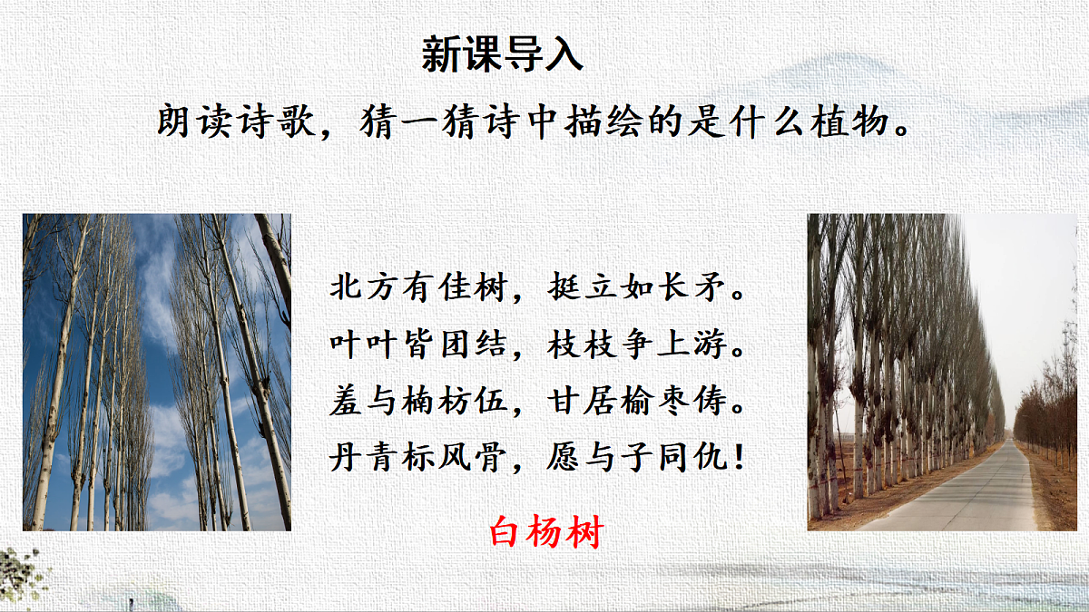 18563717第2页