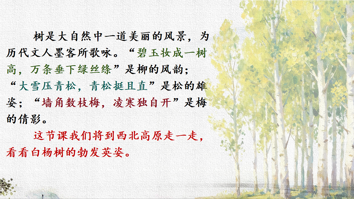 18563717第3页