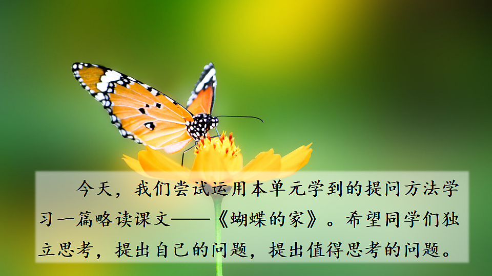 18563742第2页