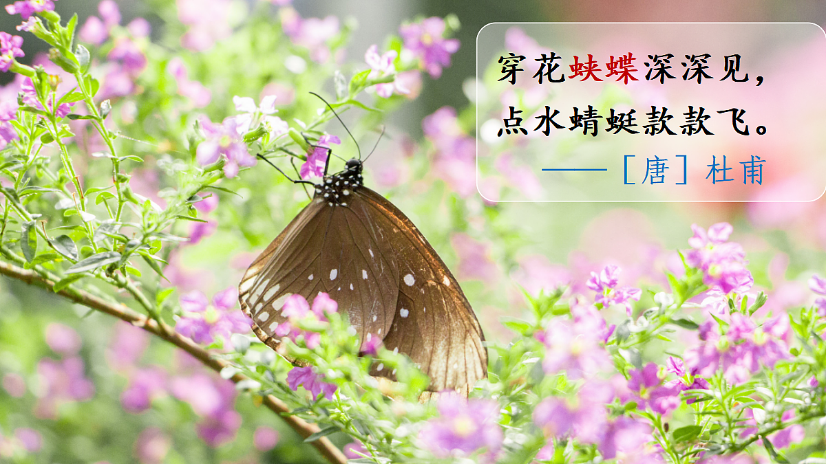 18563743第1页
