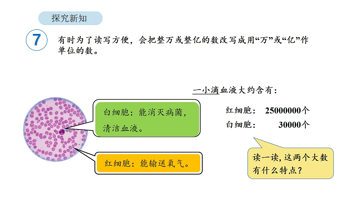 18564292第5页
