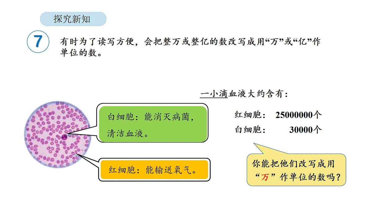 18564292第6页