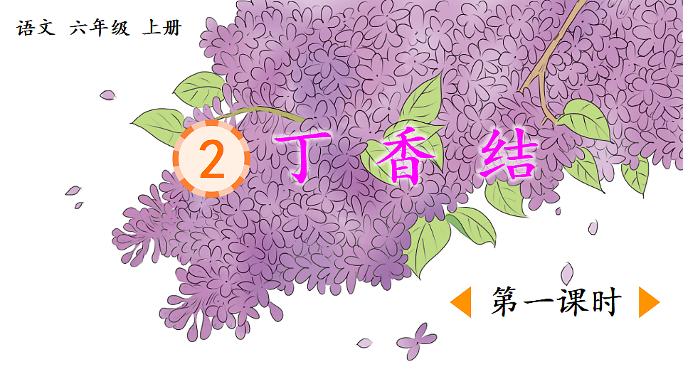 18564596第1页