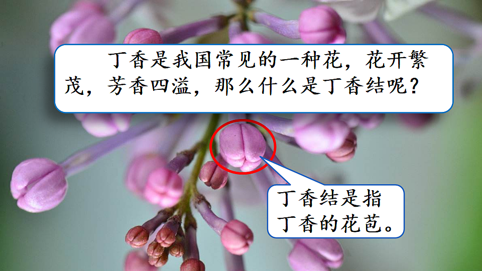 18564596第2页