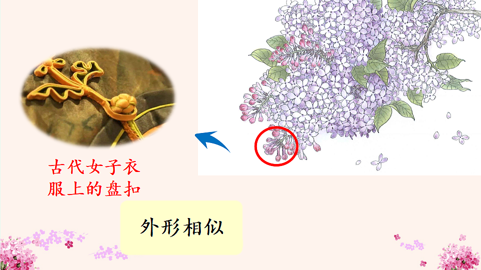 18564597第5页