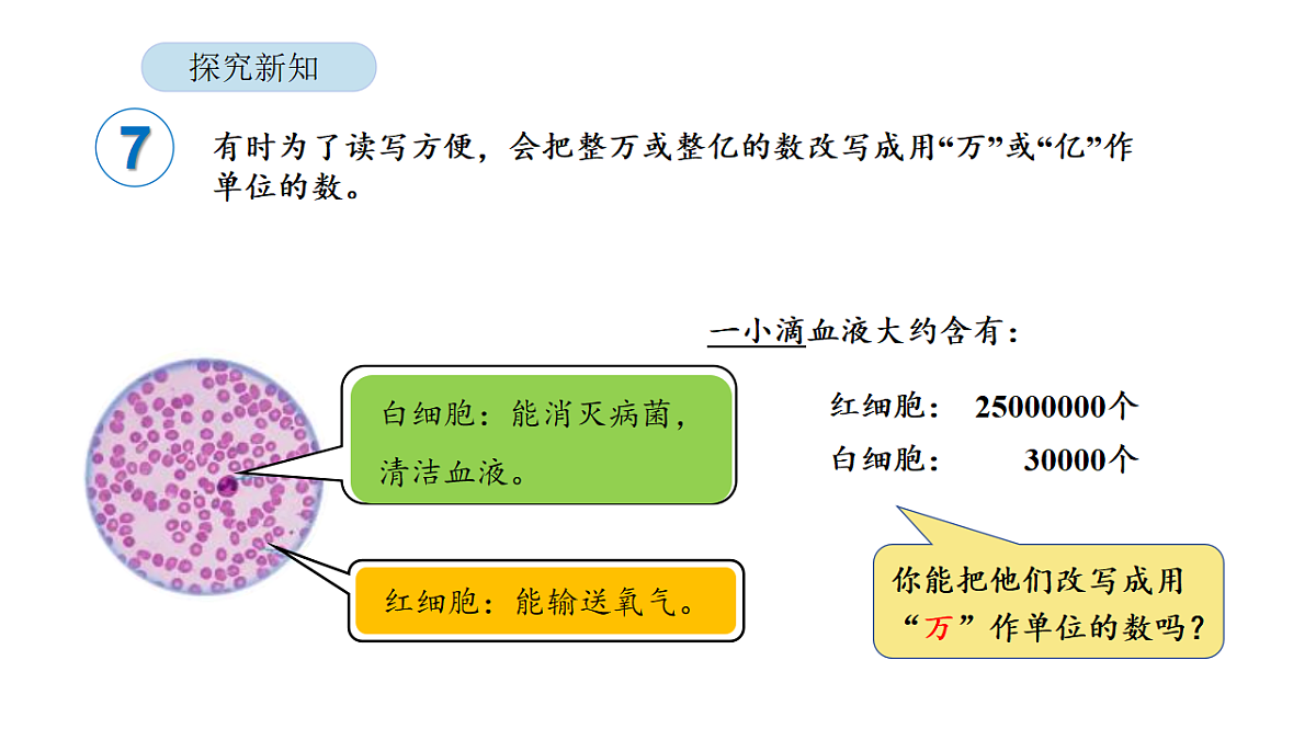 18565350第6页