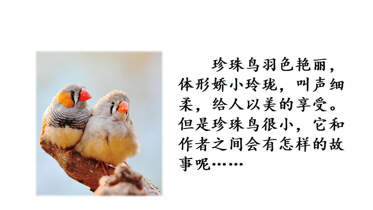18565910第3页