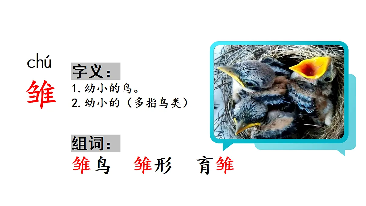 18565910第6页