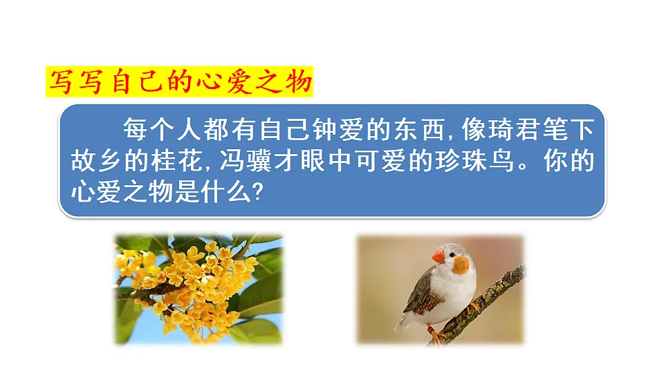18565912第3页