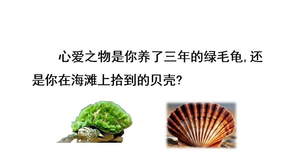 18565912第7页