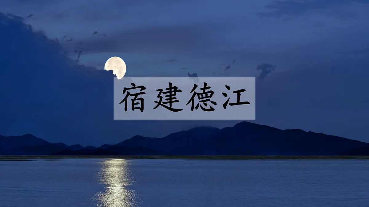 18565984第3页
