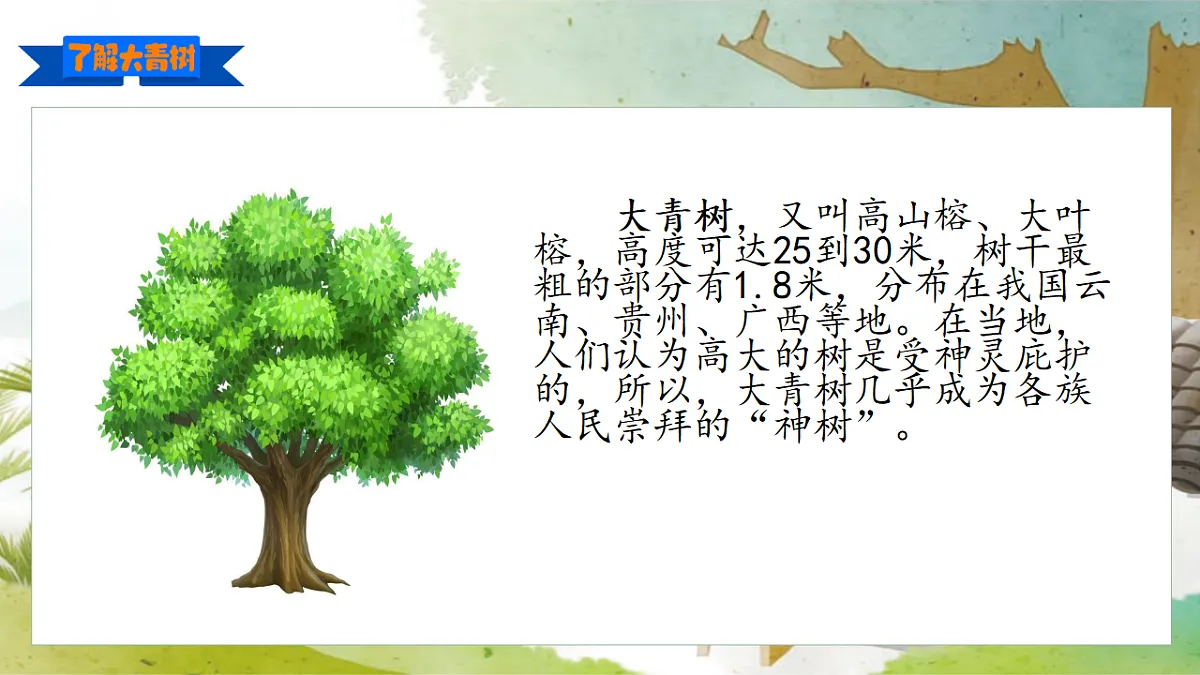 18565998第2页
