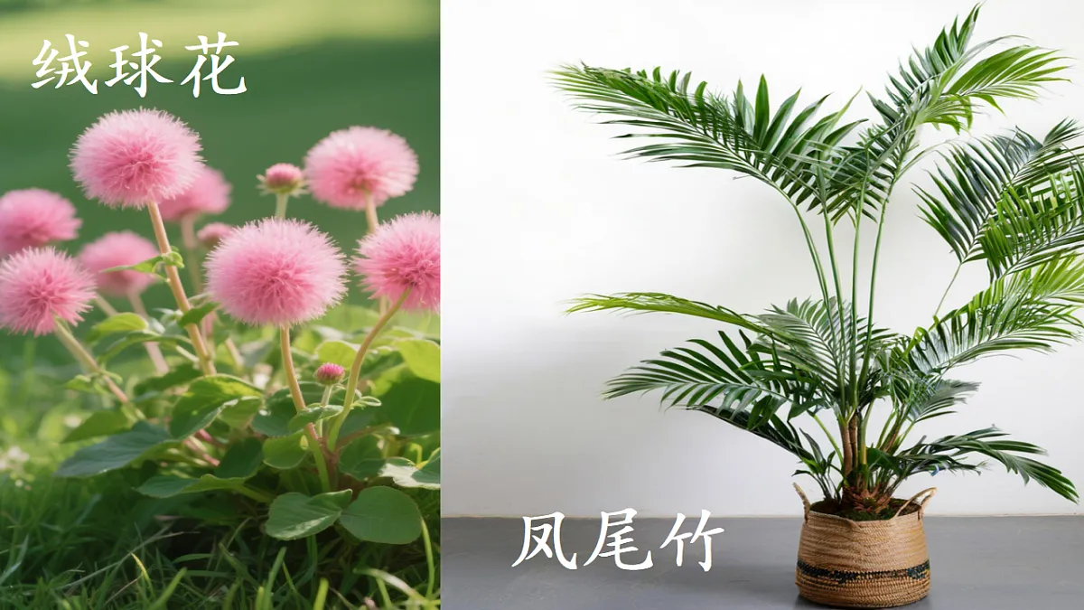 18565998第8页