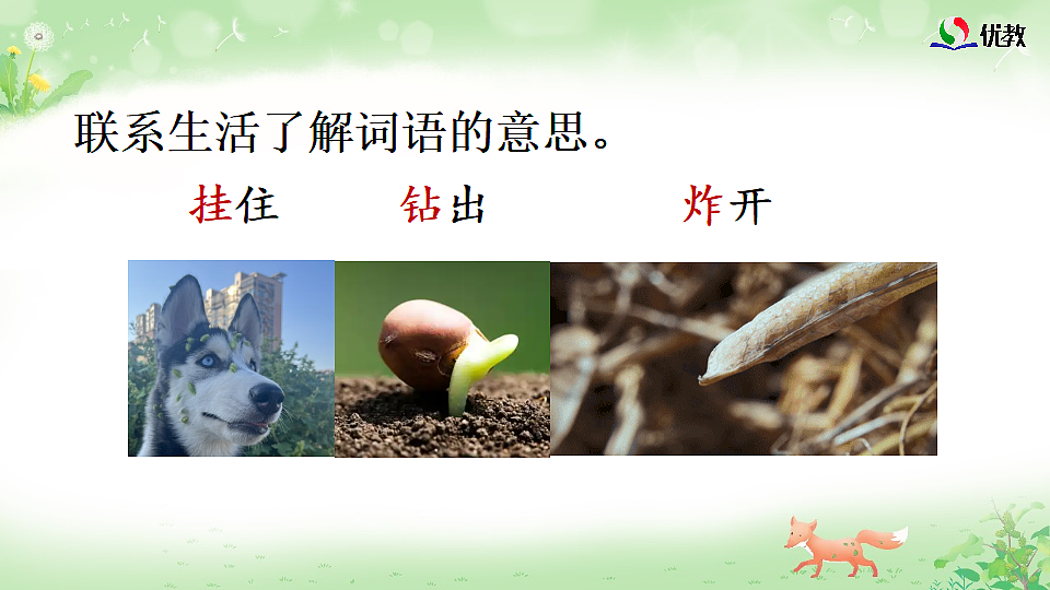 18568030第5页