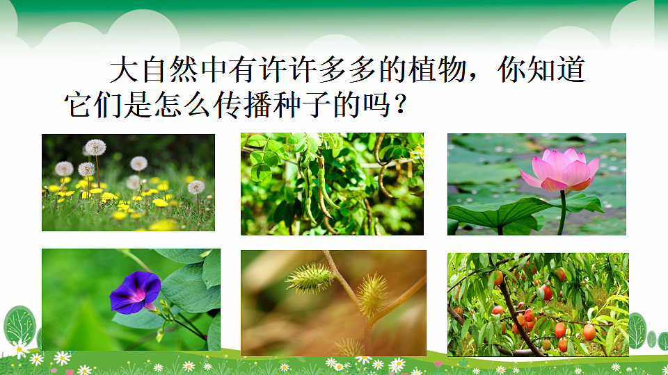18568035第2页