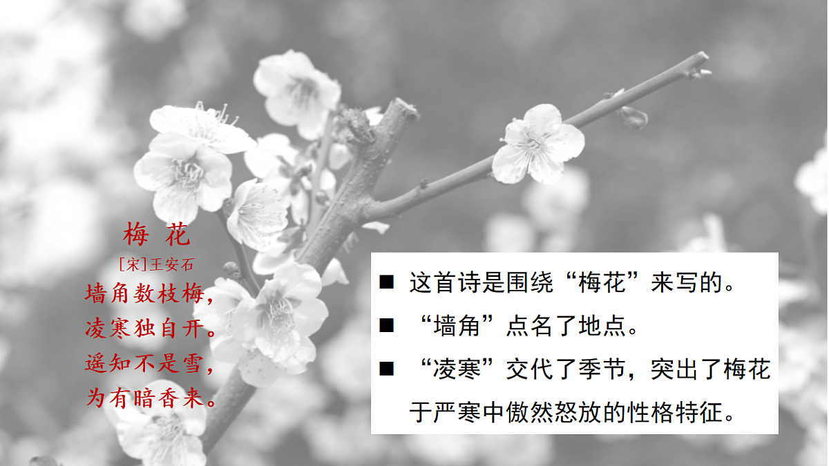 18568040第7页