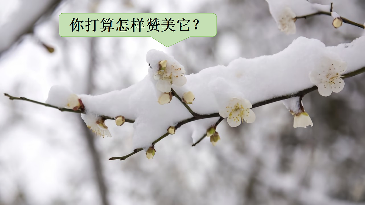 18568042第3页