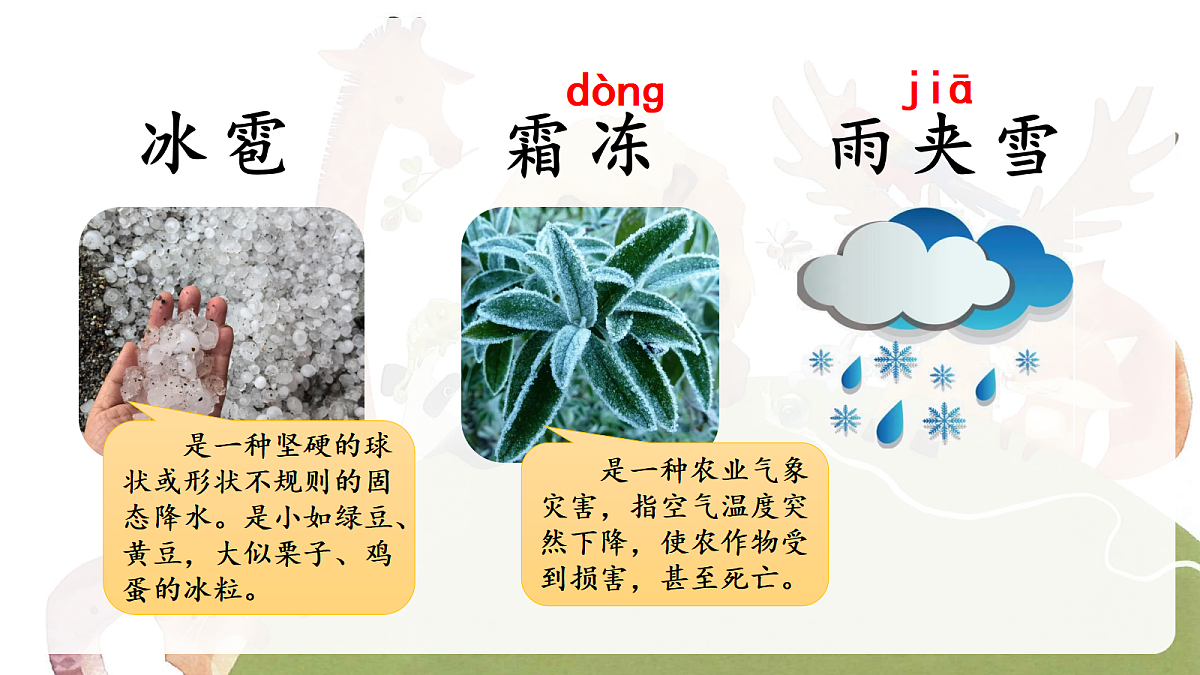 18568043第5页