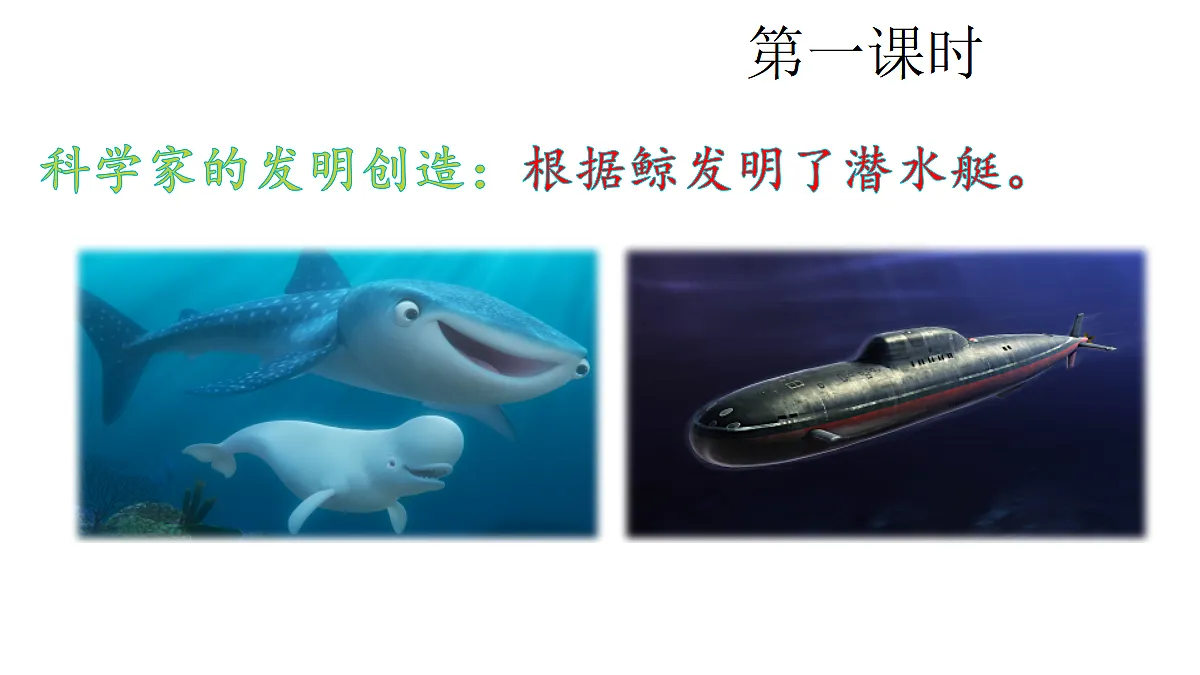 18569244第2页