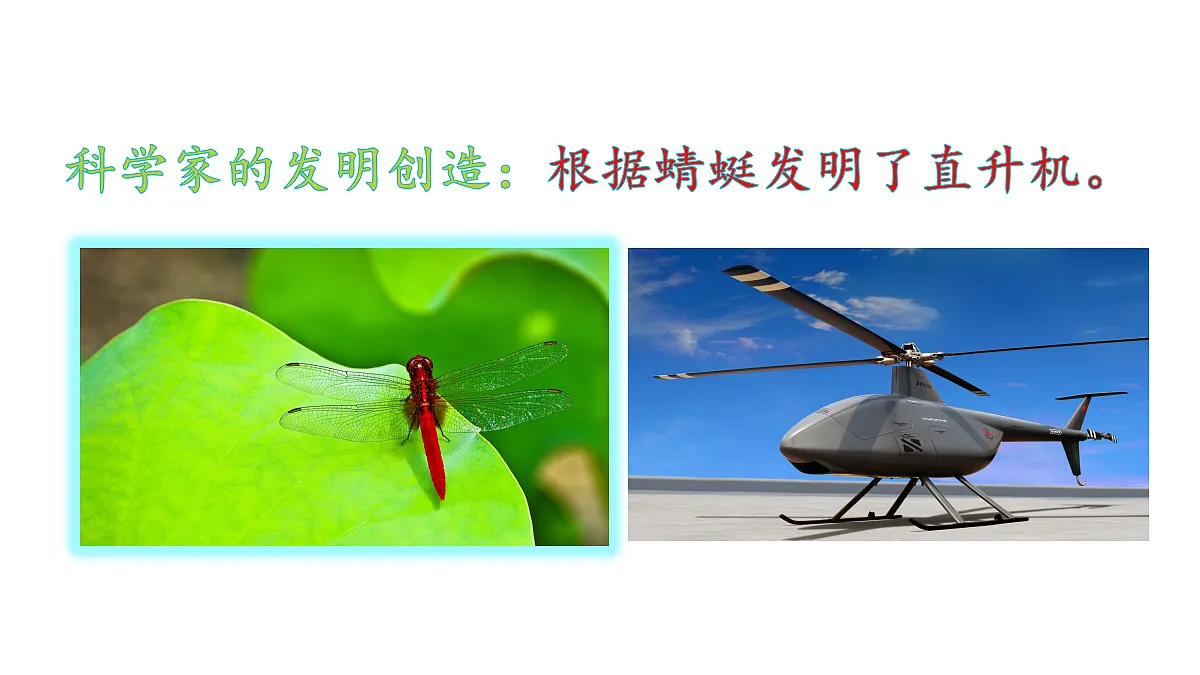 18569244第3页
