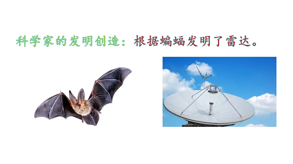 18569244第4页