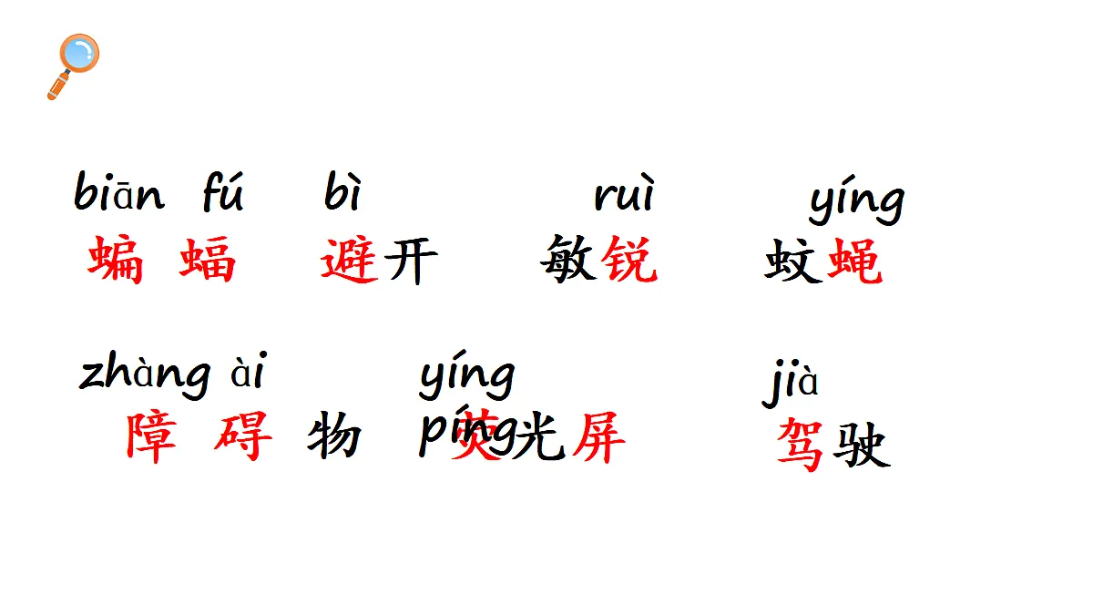 18569244第7页