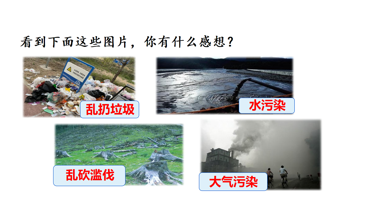 18569321第3页