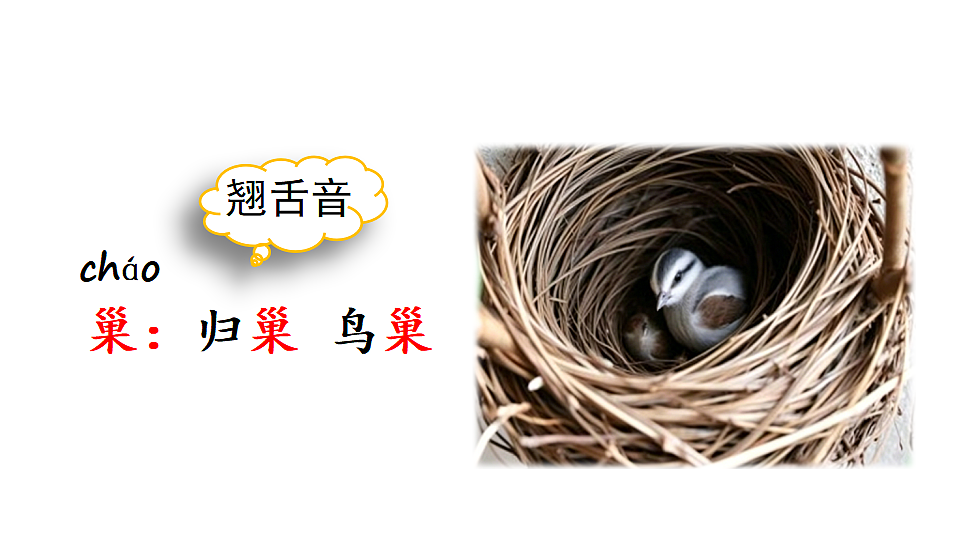 18569322第5页