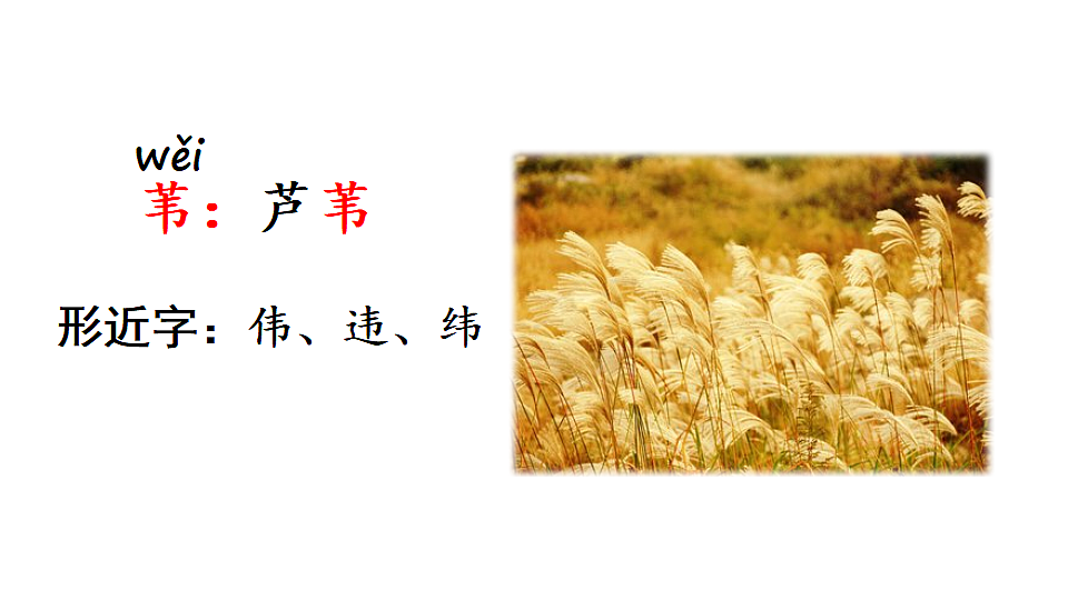 18569322第6页