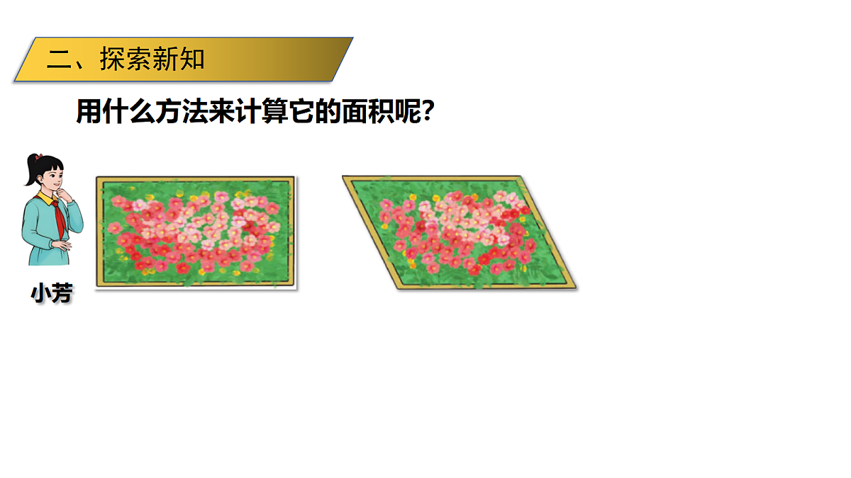 18569729第7页