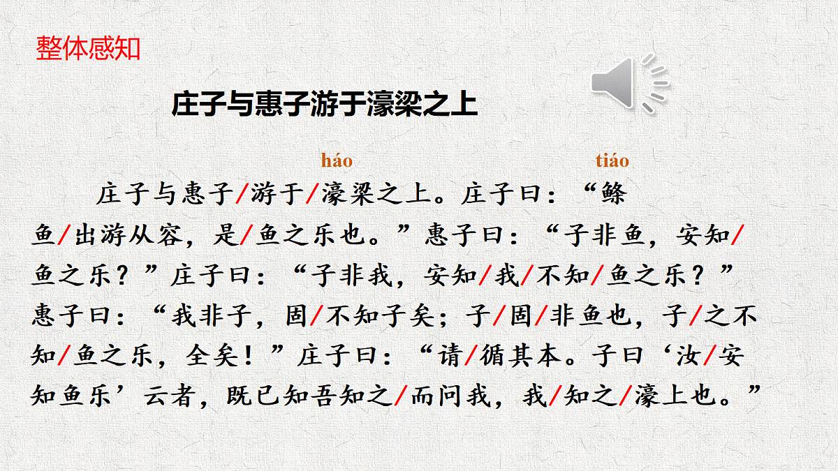 18569903第8页